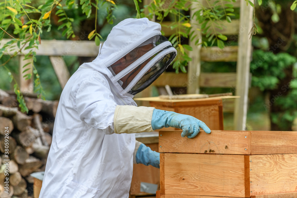 Portrait of beekeeper carrying honeycomb box while working at apiary. Portrait of beekeeper carrying honeycomb box while working at apiary.