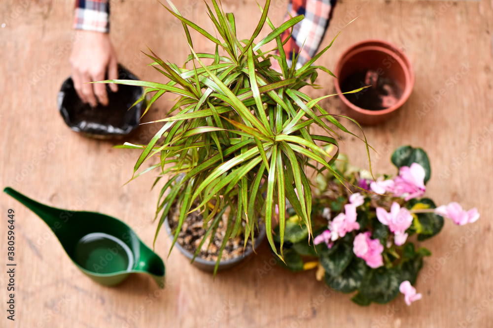 home gardening home gardening