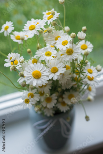 Fresh bouquet of chamomile flowers in a vase on the windowsill. Rain outside the window.