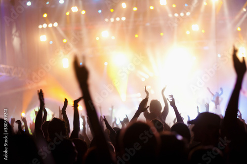 Wallpaper Mural Concert crowd at live music festival Torontodigital.ca