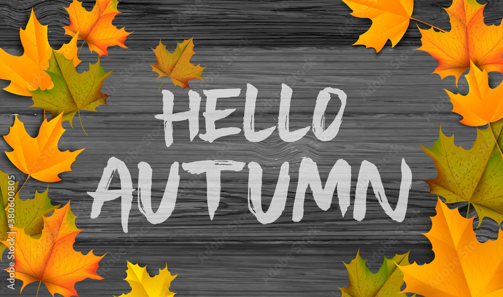 Fototapeta premium Greetings and gifts for the autumn and autumn season concept. Autumn background, poster and banner template with colorful autumn leaves.