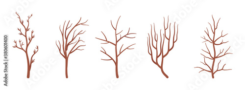 Dry tree brown branches set, dried decorative spooky sticks. Organic atmosphere, floral branches for wreaths, bouquets of flower, floral crowns, vase decoration. Vector flat style cartoon illustration