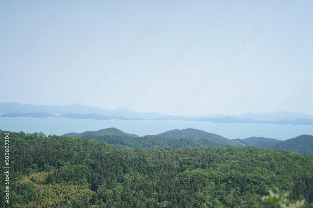 Obraz premium 보성에 위치하고 있는 녹차밭