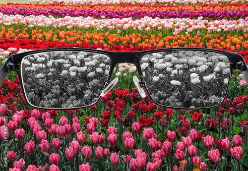 Looking through glasses to bleach tulips field. Color blindness. World perception during depression. Medical condition. Health and disease concept. photo