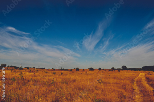 sunset in the field