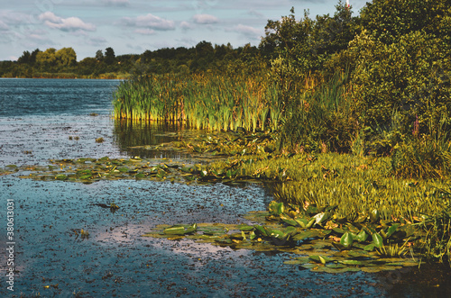 autumn landscape with lake