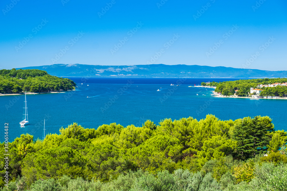 Olive trees and beautiful Adriatic seascape, sail boat in lagoon on the island of Cres in Croatia