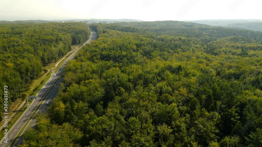Aerial Top View Of Road On Asphalt Road Passing Between Forest Against, Poland Aerial Top View Of Road On Asphalt Road Passing Between Forest Against, Poland
