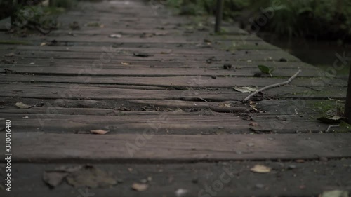Wallpaper Mural Rustic rickety bridge low zoom shot Torontodigital.ca