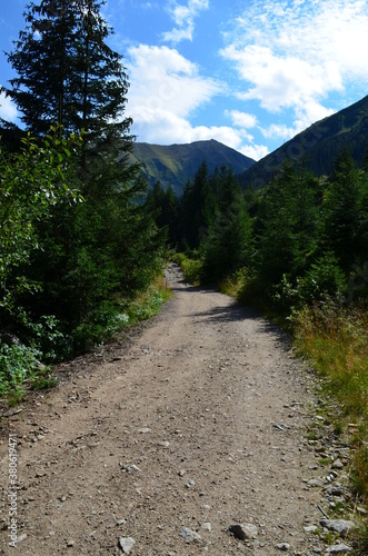 Tatry Zachodnie, szlak przez Dolinę Jarząbka, dolny odcinek szlaku na Trzydniowański Wierch