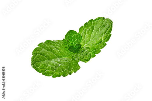 Fresh green sprig of mint isolated on white background. Close up, copy space
