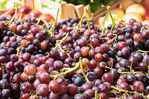 Delicious autumn harvest of fruit - red and white table grapes on the farmer's market
