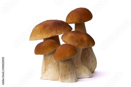 Brown boletus mushrooms isolated on white background