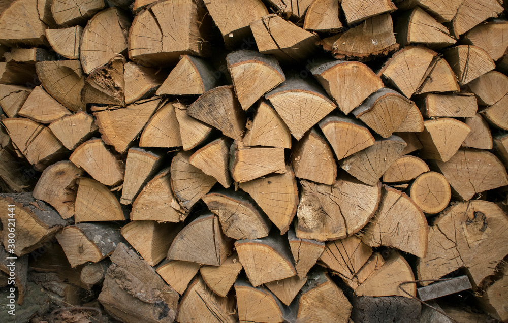 Chopped fire wood. Banner for article about environmental issues. Pile of dry tree logs and stumps on top of each other. Winter fuel. Chopped fire wood. Banner for article about environmental issues. Pile of dry tree logs and stumps on top of each other. Winter fuel.