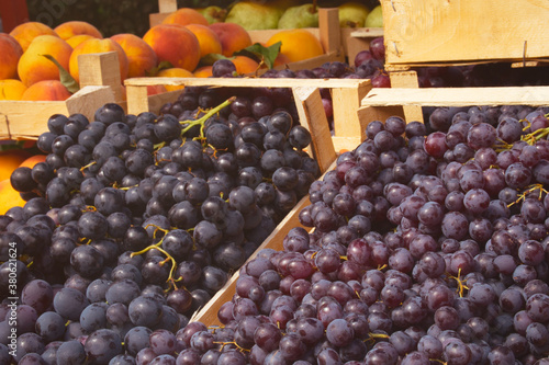 Delicious autumn harvest of fruit - red and white table grapes on the farmer's market photo