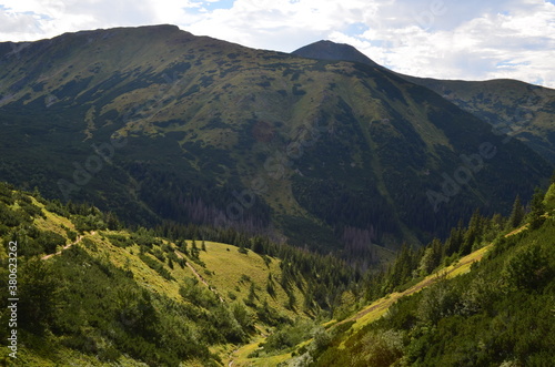 Fototapeta Naklejka Na Ścianę i Meble -  Tatry Zachodnie, szczyty, szlaki graniowe, latem, widok z Doliny Jarząbka, Polska