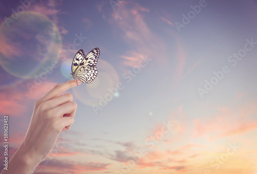 Sticker Woman holding beautiful rice paper butterfly against sunset sky, closeup