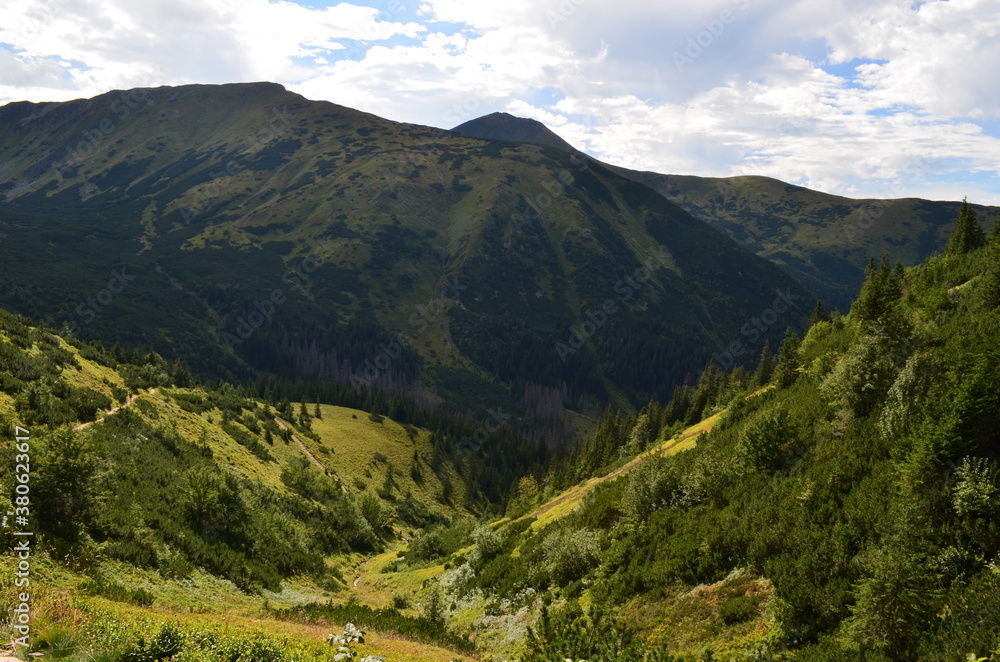 Obraz premium Tatry Zachodnie, szczyty, szlaki graniowe, latem, widok z Doliny Jarząbka, Polska