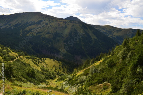 Fototapeta Naklejka Na Ścianę i Meble -  Tatry Zachodnie, szczyty, szlaki graniowe, latem, widok z Doliny Jarząbka, Polska