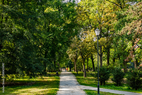 Łódź miasto park aleja ścieżka drzewa jesień