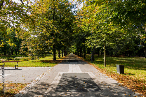 Łódź miasto park aleja ścieżka drzewa jesień