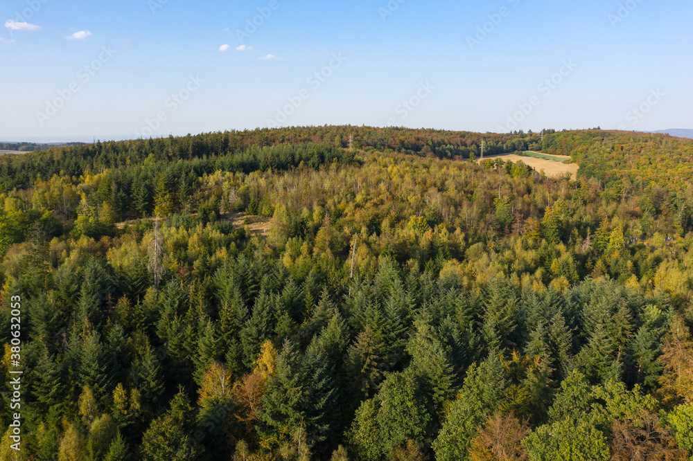 Bird's eye view of the forest landscape of the Taunus / Germany