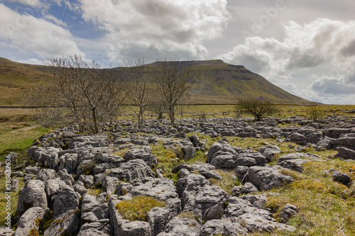 Limestone rocks and naked trees with Ingleborough mountain behind in the Yorkshire Dales in England.