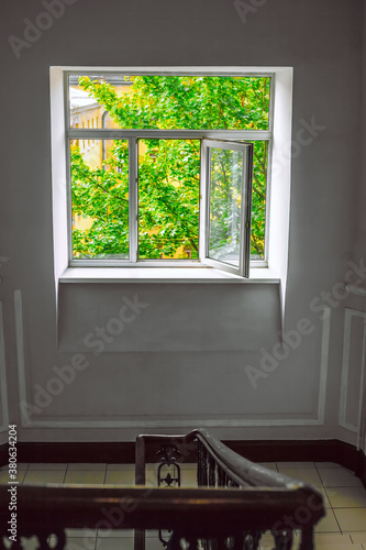 New staircase window with open sash overlooking the bright green foliage of the tree and the upper floors of the building.