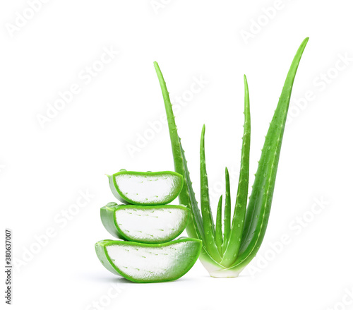 Aloe vera sliced with plant isolated on white background.