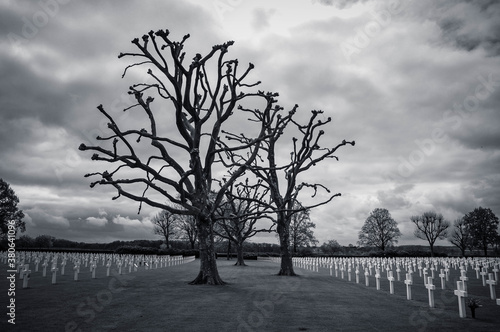 Limburg, Margraten, Netherlands American Cemetery and Memorial, Holland, Europe photo