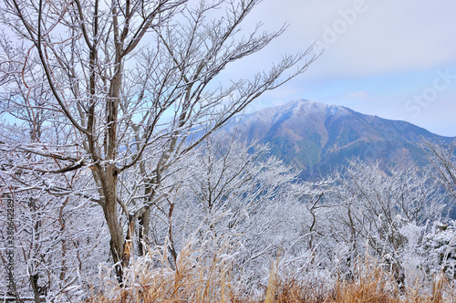 丹沢 雪化粧した二ノ塔より大山