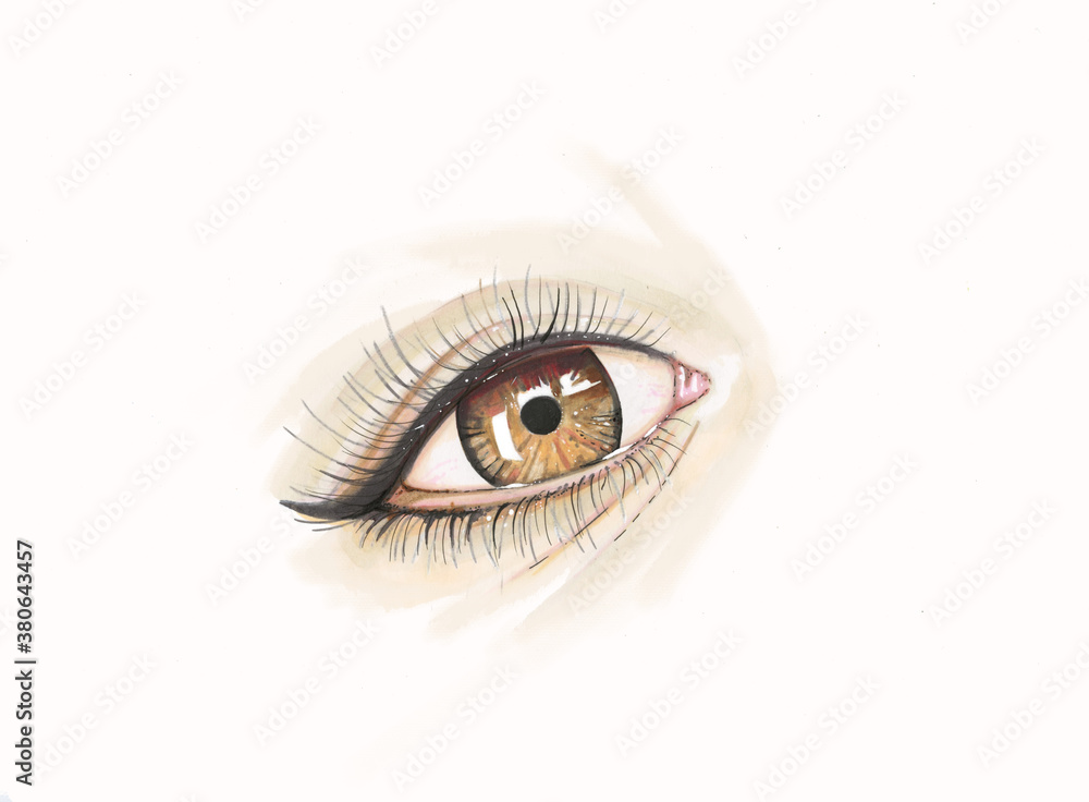 Beautiful women's hand drawn eye with lashes isolated. Make up girlish style for decoration blogs, profiles. Beauty industry Beautiful women's hand drawn eye with lashes isolated. Make up girlish style for decoration blogs, profiles. Beauty industry