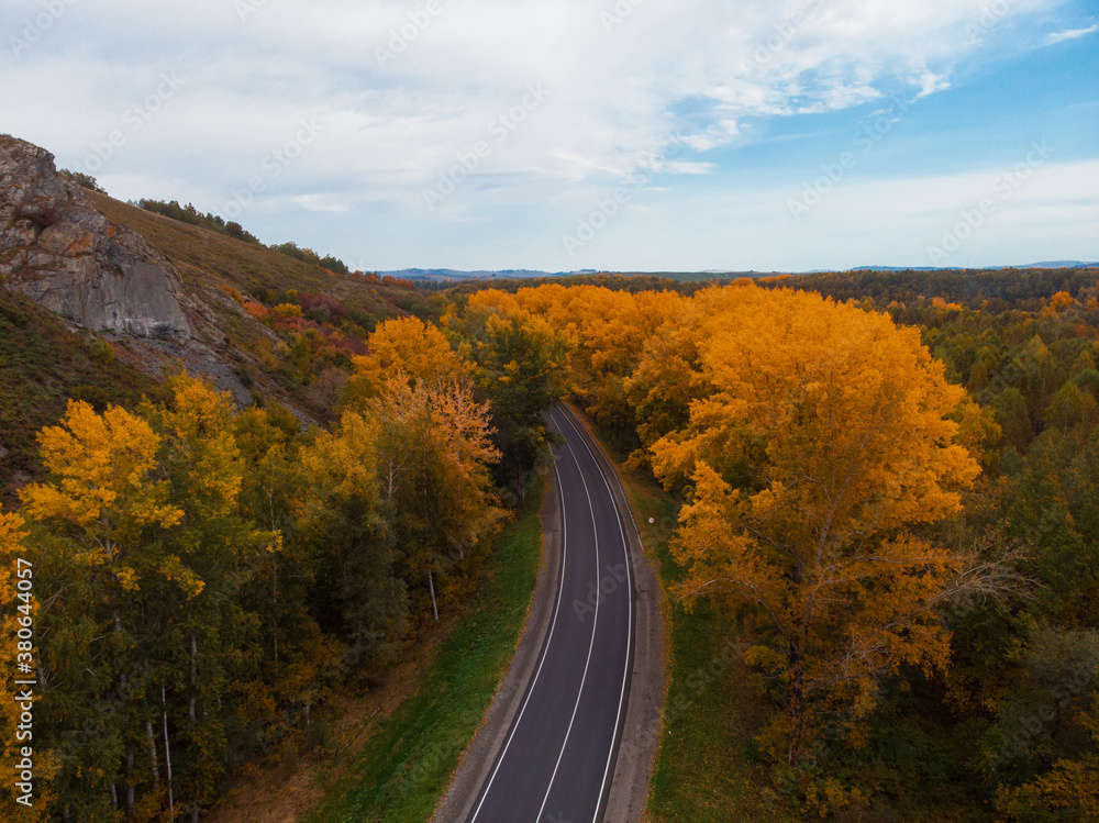 Naklejka premium Aerial view of road in beautiful autumn Altai forest. Beautiful landscape with empty rural road, golden autumn in altai: trees with red, yellow and orange leaves.