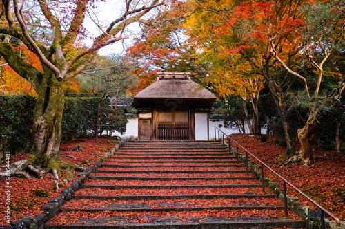 京都 紅葉の安楽寺 雨上がり