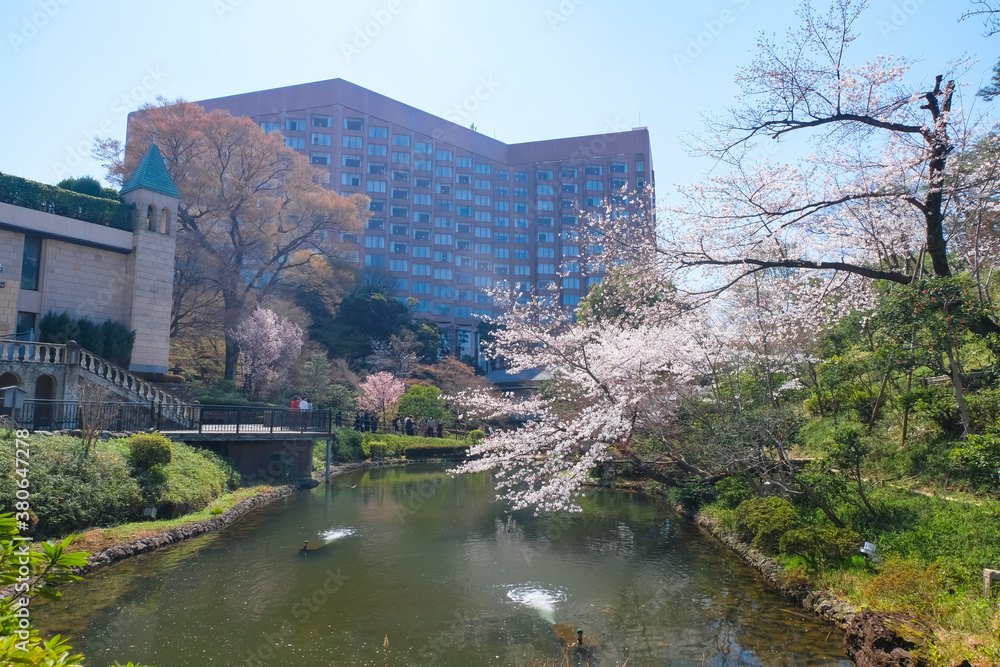 Obraz premium 椿山荘 庭園