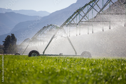Close up image of a center pivot on a green field of wheat, providing irrigation to the crops photo