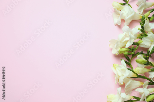Fototapeta Naklejka Na Ścianę i Meble -  Beautiful freesia flowers on light pink background, flat lay. Space for text