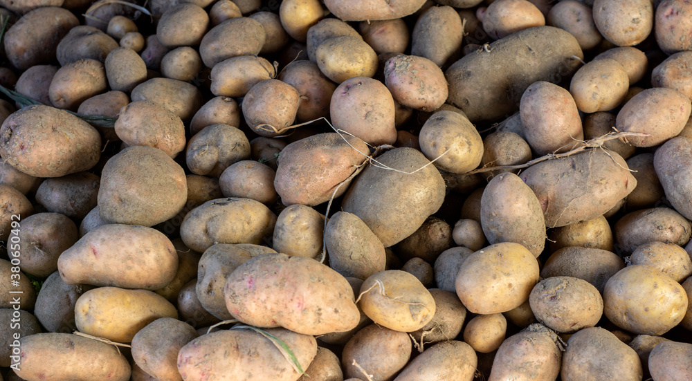 Heap of potato on counter Heap of potato on counter
