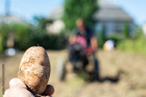 Close up of potato in hand