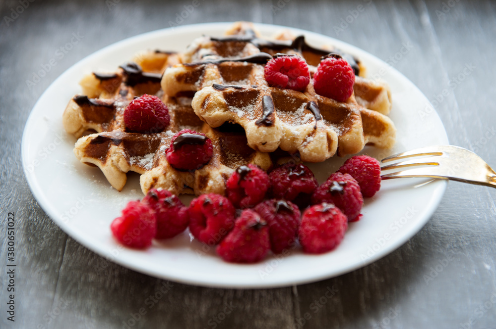 Sweet Homemade Berry Belgian Waffle with chocolate syrup and sugar powder Sweet Homemade Berry Belgian Waffle with chocolate syrup and sugar powder