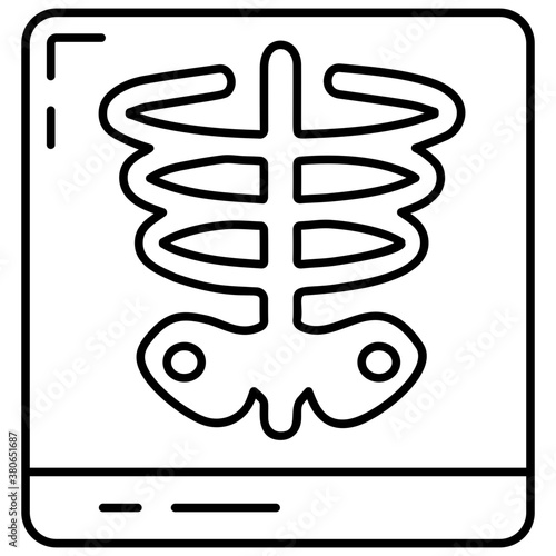 X ray Vector 