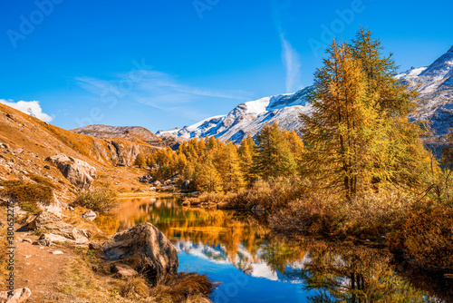 Stunning autumn scenery with yellowed larches and snowcapped mountains reflected in Grinjisee lake. Switzerland