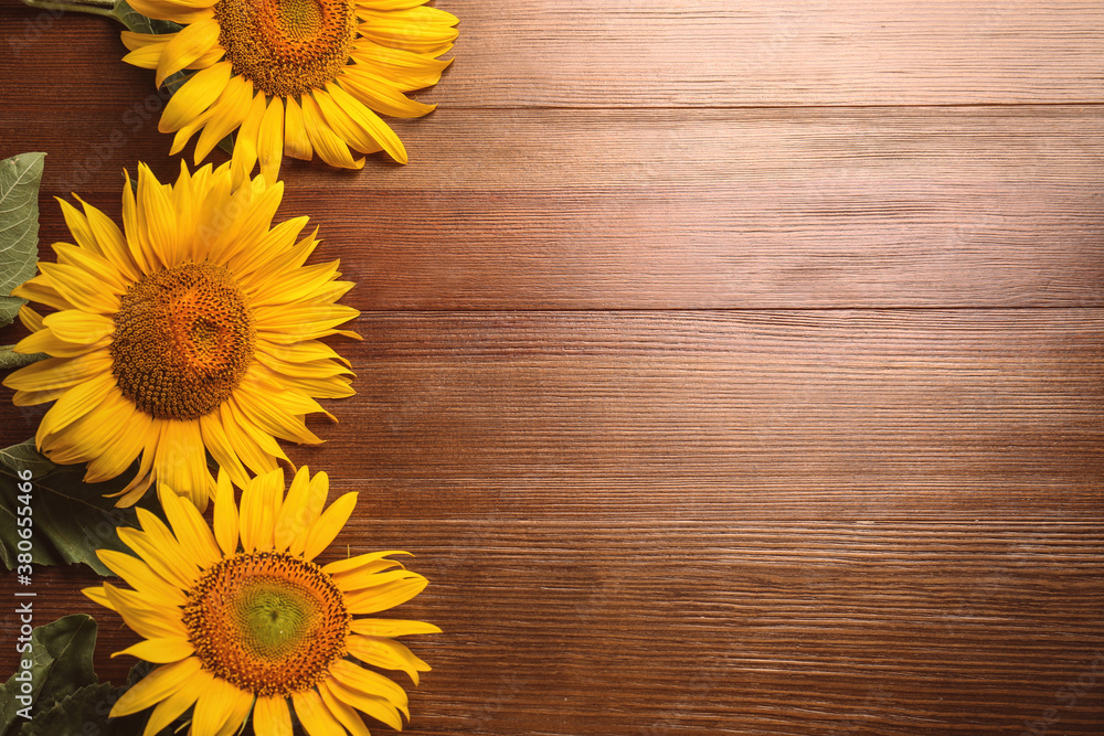 Obraz premium Beautiful bright sunflowers on wooden background, flat lay. Space for text