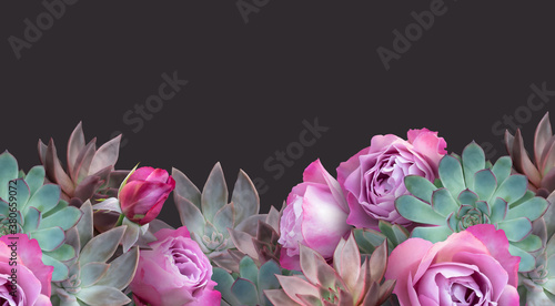 Floral banner  header with copy space. Succulents and pink roses isolated on dark background. Natural flowers wallpaper or greeting card.