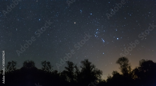 Orion constellation above a night forest silhouette, night starry sky scene