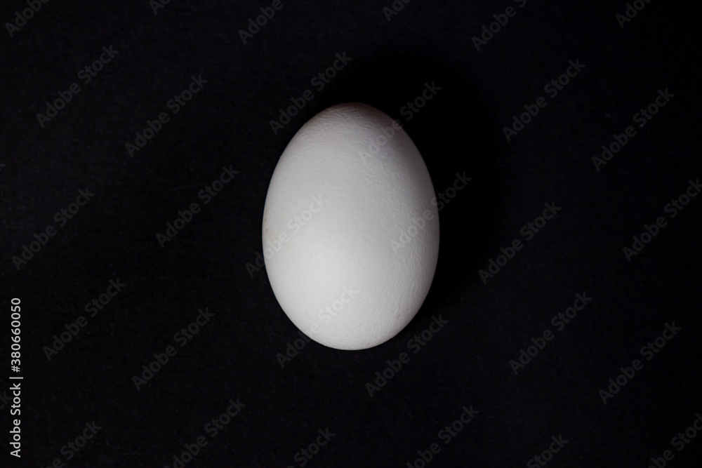 Egg on a black background. White chicken egg Egg on a black background. White chicken egg