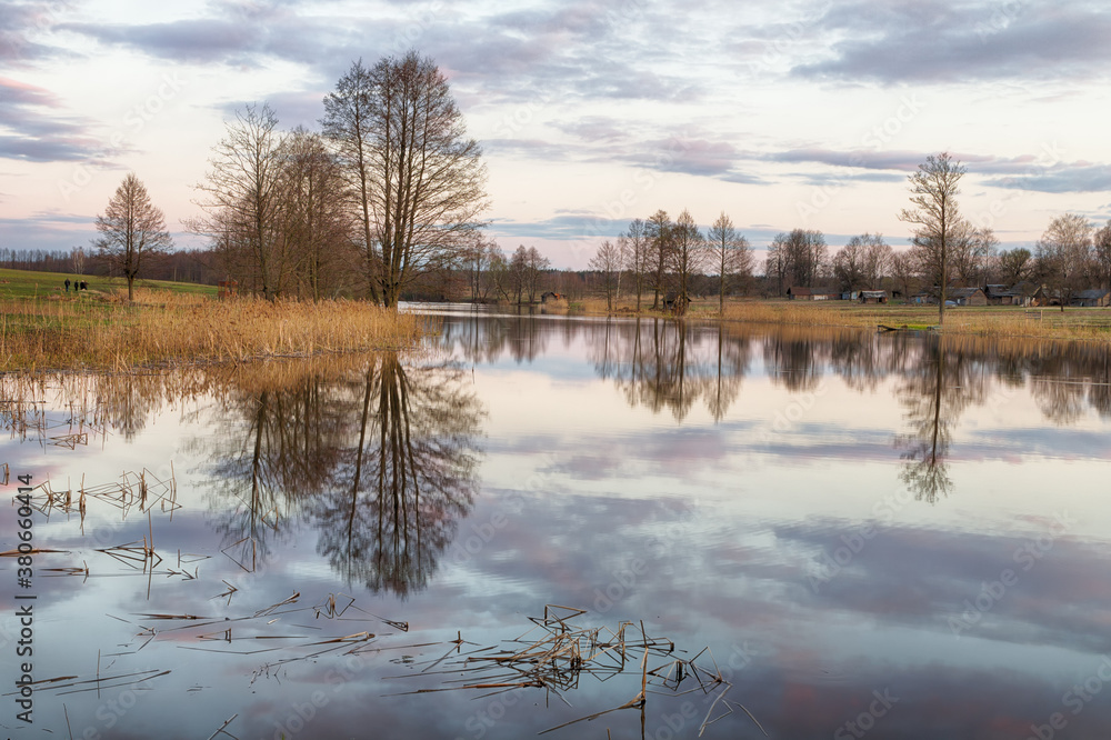 landscape with a small wild river, river banks covered with dry, old grass and fallen trees, early spring landscape with a small wild river, river banks covered with dry, old grass and fallen trees, early spring