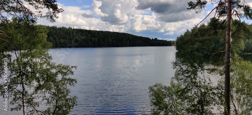 Lake and forest