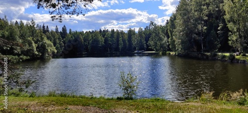 lake in the forest