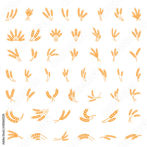 Symbols. for logo design Wheat. Agriculture, corn, barley, stalks, organic plants, bread, food natural harvest vector illustration on white background isolated